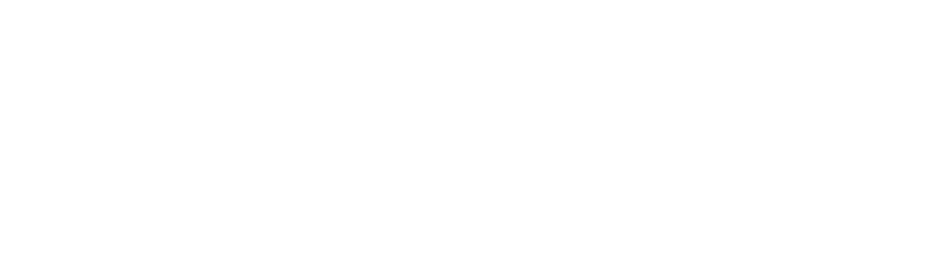 PRMN Logo